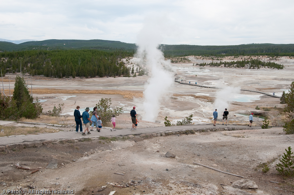 Norris Geyser Basin   Norris Geyser Basin, Yellowstone National Park, Wyoming