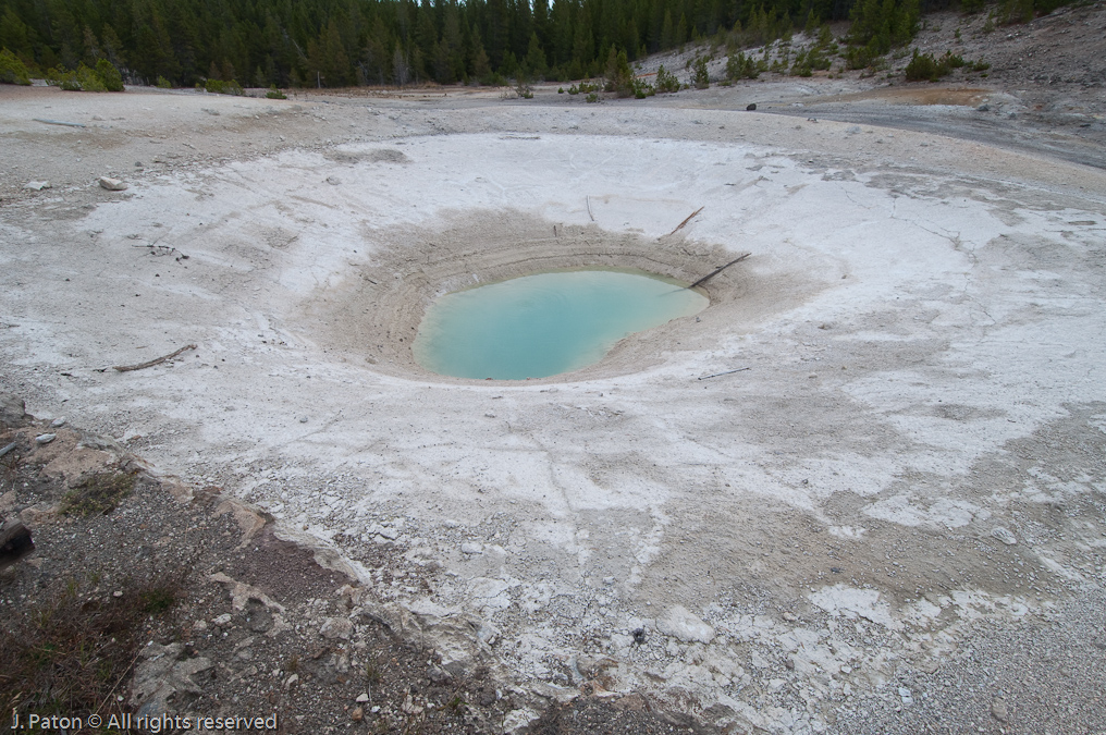 Congress Pool   Norris Geyser Basin, Yellowstone National Park, Wyoming