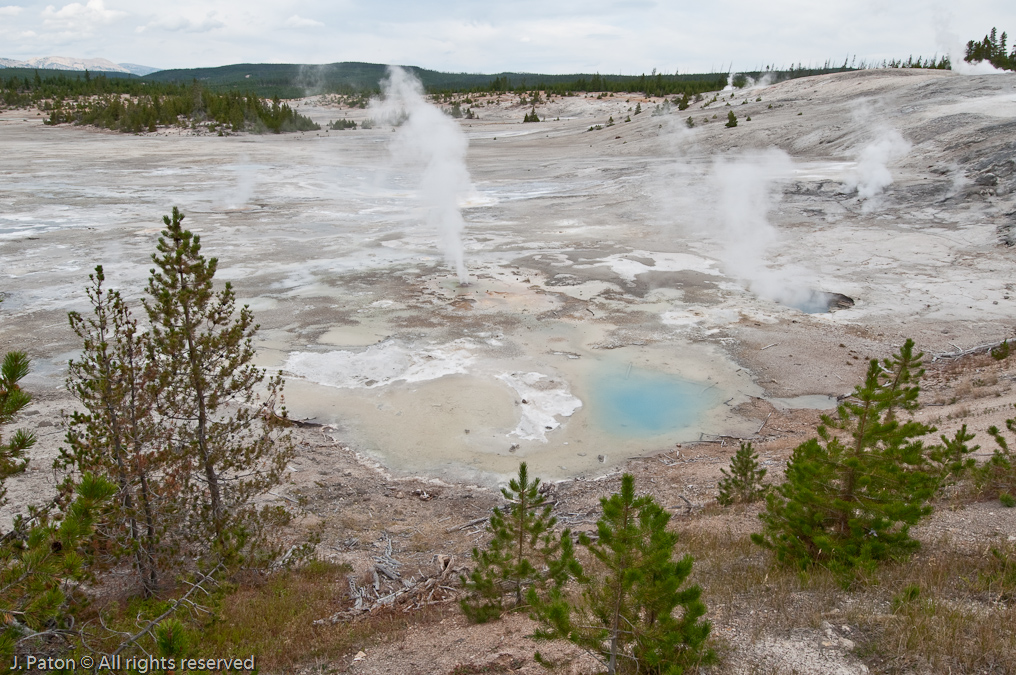 Porcelain Basin   Norris Geyser Basin, Yellowstone National Park, Wyoming