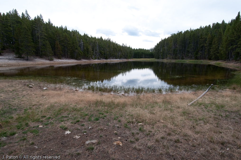 Nuphar Lake   Norris Geyser Basin, Yellowstone National Park, Wyoming