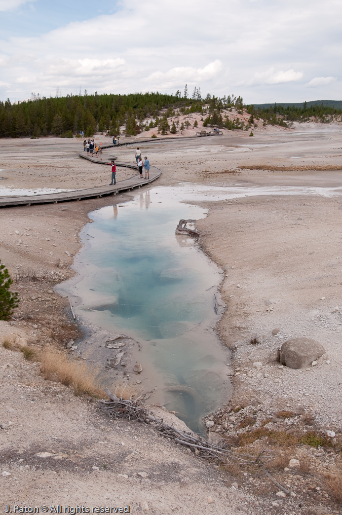 Sunday Geyser   Norris Geyser Basin, Yellowstone National Park, Wyoming