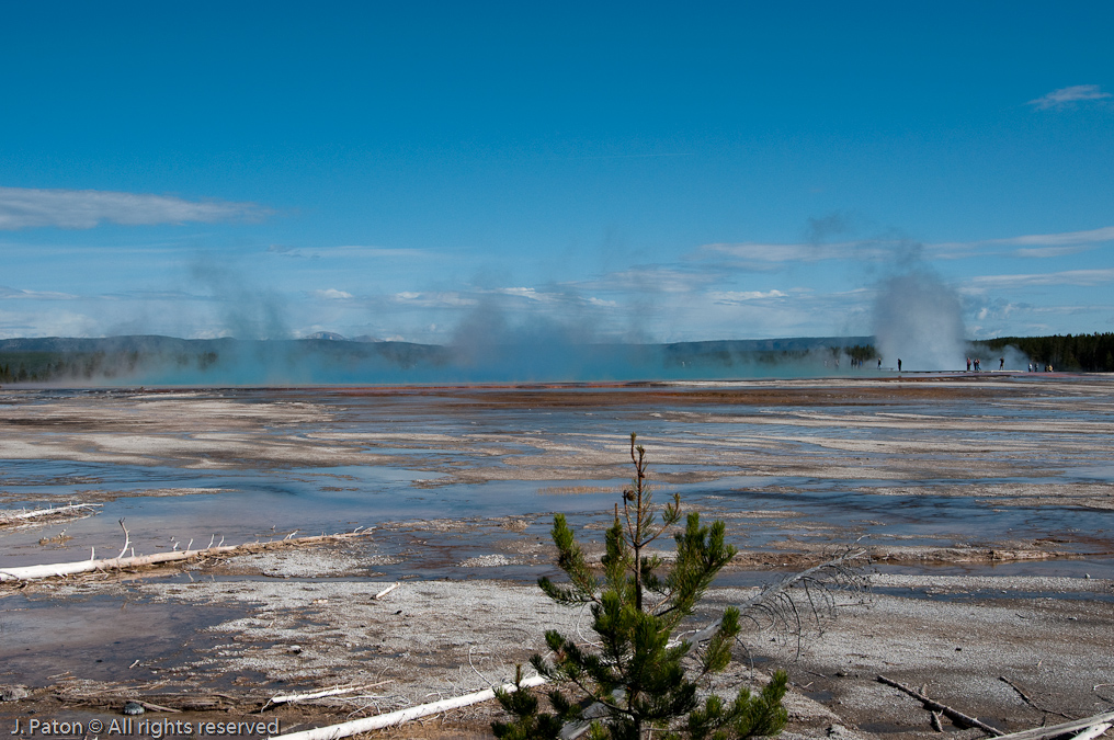 Grand Prismatic Pool   Fountain Freight Road Trail, Yellowstone National Park, Wyoming