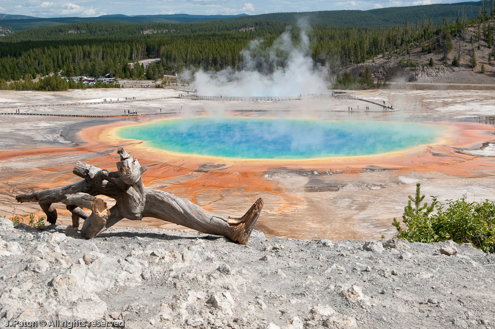 A Step Back at the View Point for Grand Prismatic Pool   Fountain Freight Road Trail, Yellowstone National Park, Wyoming