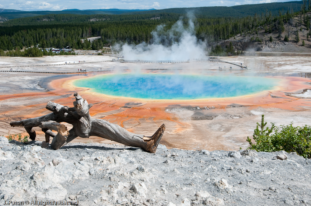 A Step Back at the View Point for Grand Prismatic Pool   Fountain Freight Road Trail, Yellowstone National Park, Wyoming