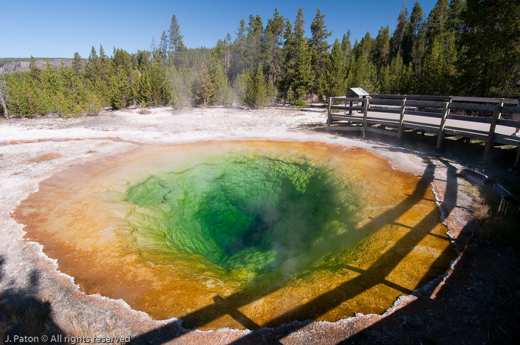 Morning Glory - Still Green This Year   Upper Geyser Basin, Yellowstone National Park, Wyoming