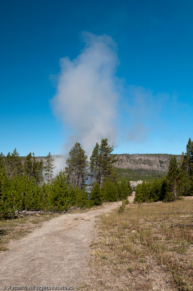 Artemisia Geyser Ahead   Upper Geyser Basin, Yellowstone National Park, Wyoming