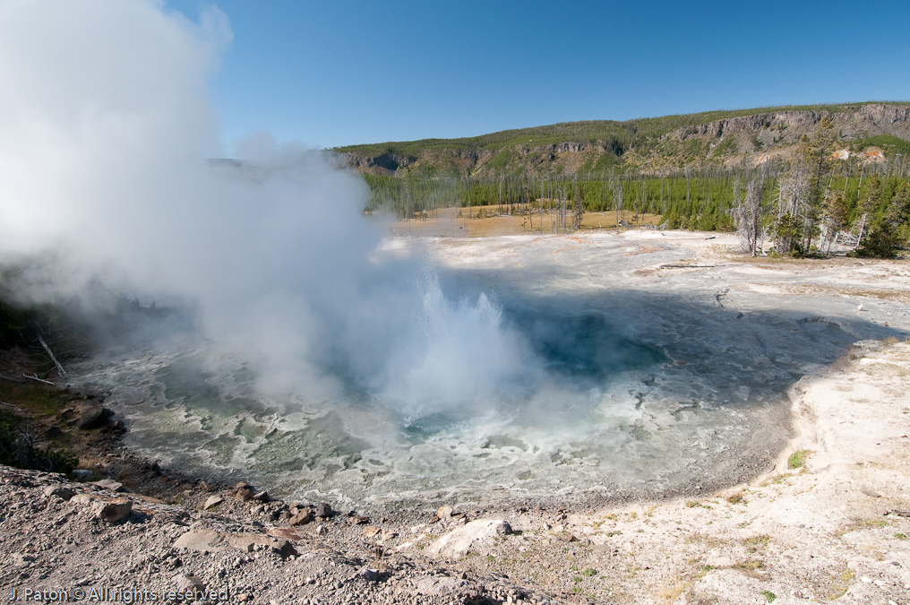 Artemisia Geyser   Upper Geyser Basin, Yellowstone National Park, Wyoming