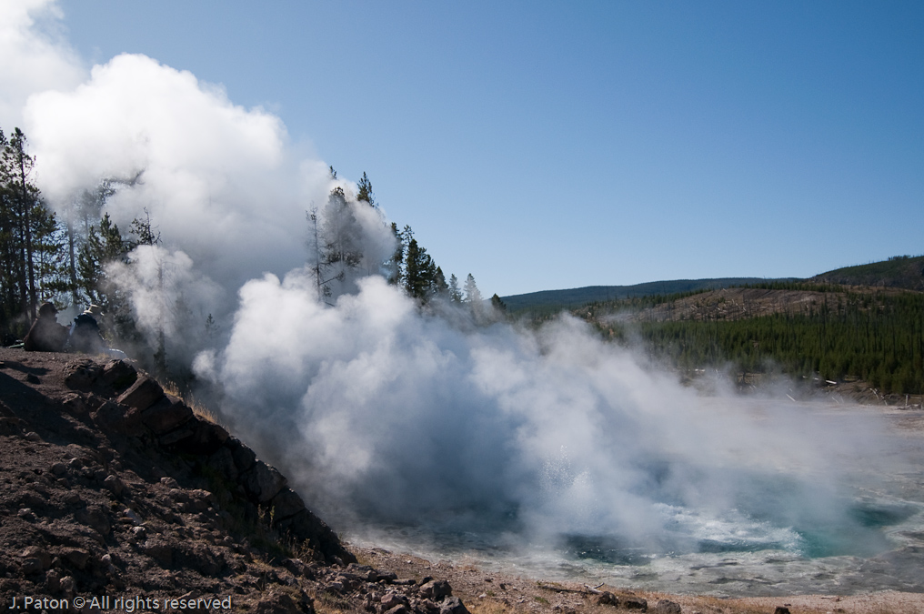 Artemisia Geyser   Upper Geyser Basin, Yellowstone National Park, Wyoming
