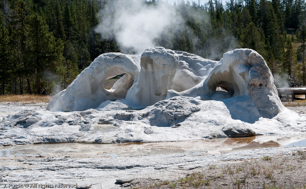 Grotto Geyser   Upper Geyser Basin, Yellowstone National Park, Wyoming