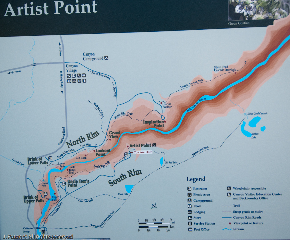 Trails Around the Canyon Area   Artist Point, Canyon Area, Yellowstone National Park, Wyoming