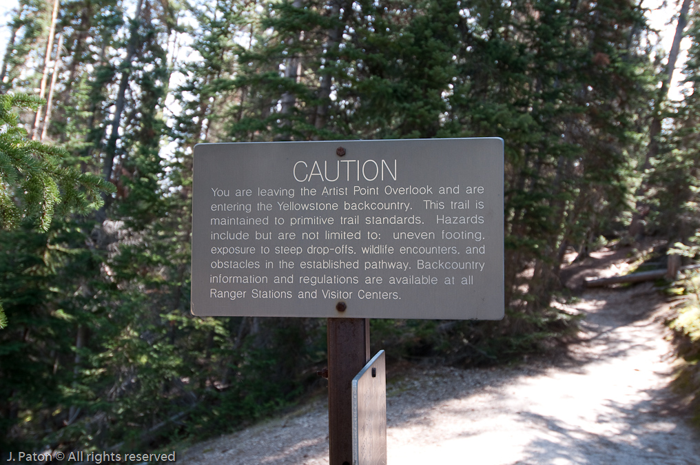    Canyon Area, Yellowstone National Park, Wyoming