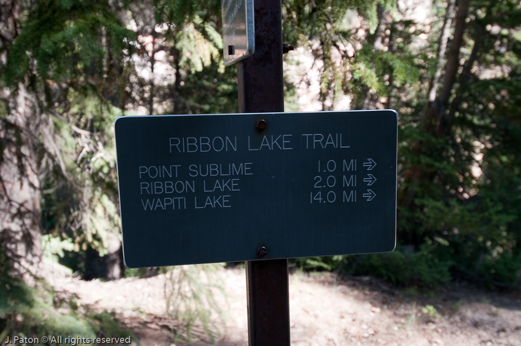 First trail to Point Sublime Near the Canyon Rim   Canyon Area, Yellowstone National Park, Wyoming