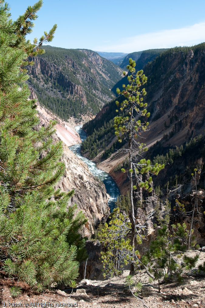 Hiking Downstream from the Falls and Looking Even Further Downstream   Canyon Area, Yellowstone National Park, Wyoming