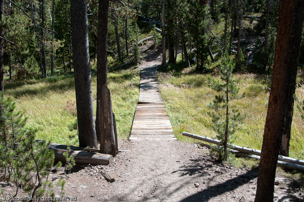 Footbridge at Lily Pad Lake   Ribbon Lake Trail, Canyon Area, Yellowstone National Park, Wyoming