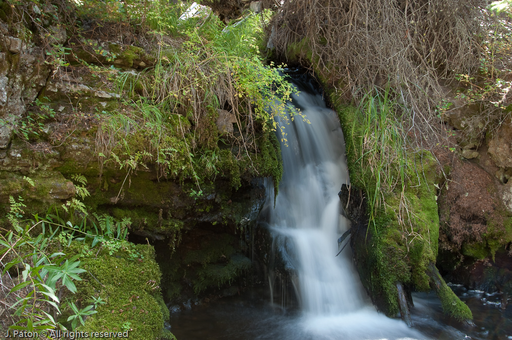 Ribbon Creek Right Before It Becomes Silver Cord Cascade   Ribbon Lake Trail, Canyon Area, Yellowstone National Park, Wyoming