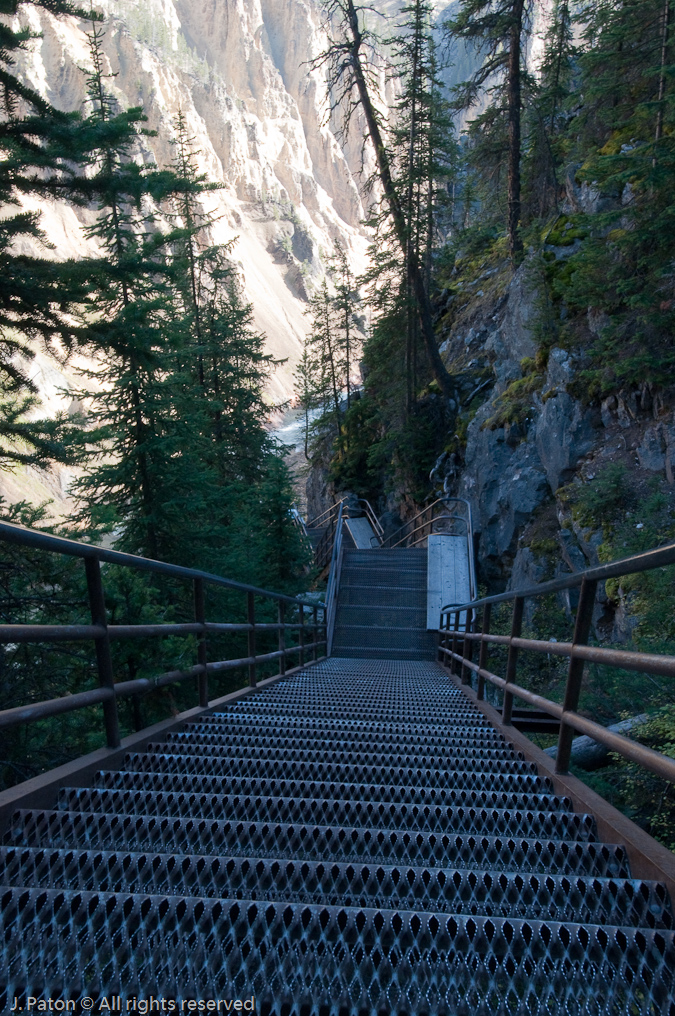 Steps on Uncle Toms Trail   Grand Canyon of the Yellowstone, Yellowstone National Park, Wyoming
