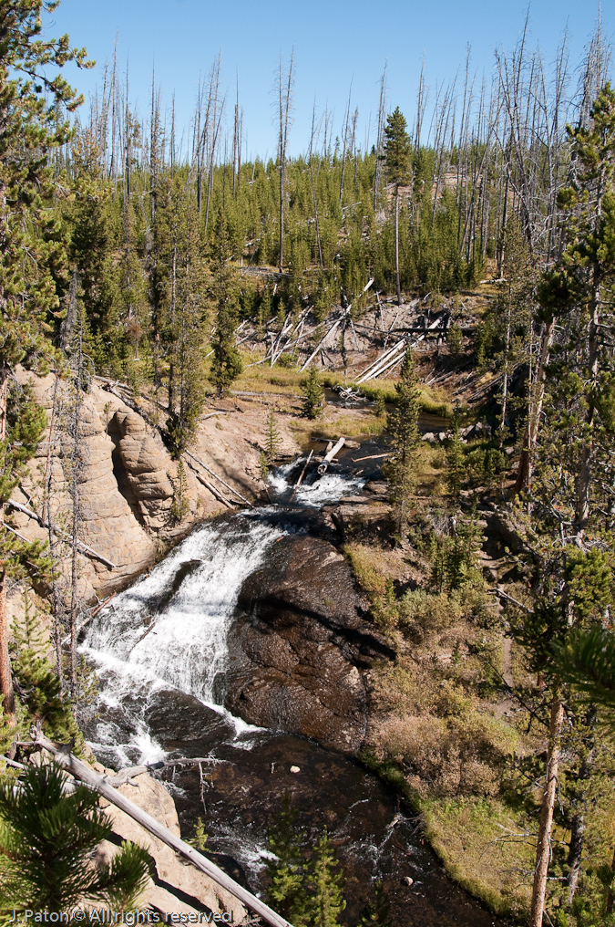First Look at Little GIbbons Falls   Wolf Lake Trail, Yellowstone National Park, Wyoming