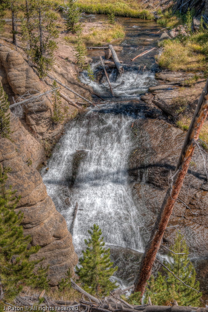 Little Gibbons Fall   Wolf Lake Trail, Yellowstone National Park, Wyoming
