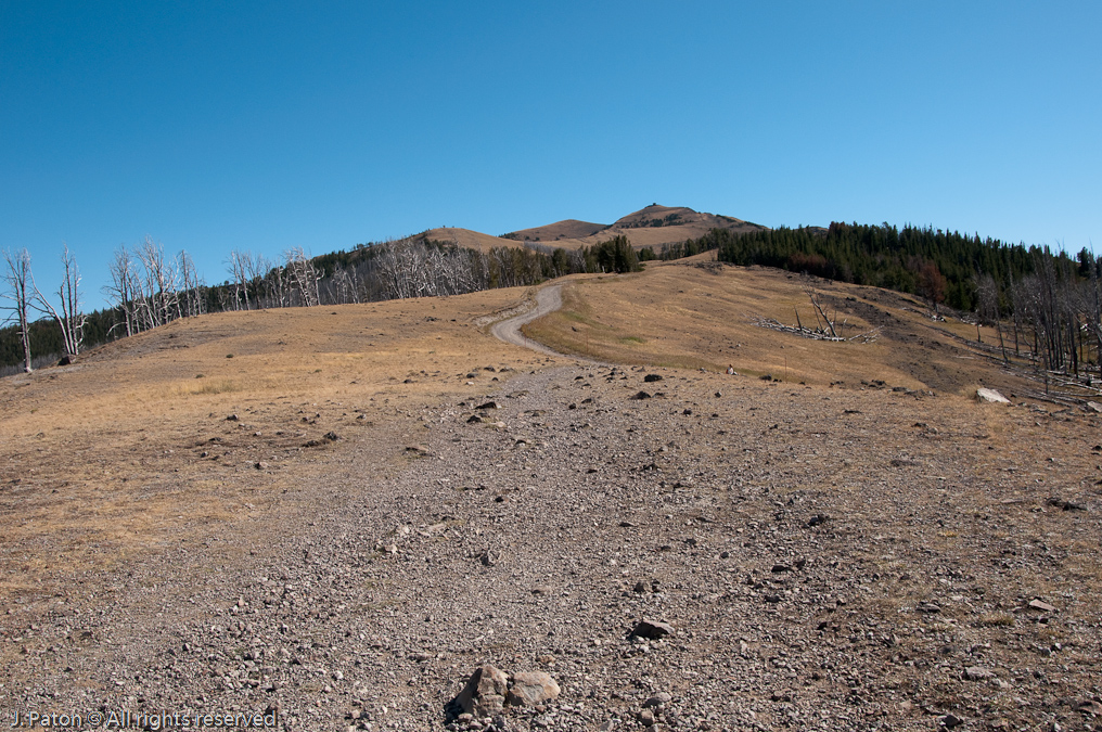 Mt. Washburn Observation Tower is Barely Visible   Mount Washburn, Yellowstone National Park, Wyoming