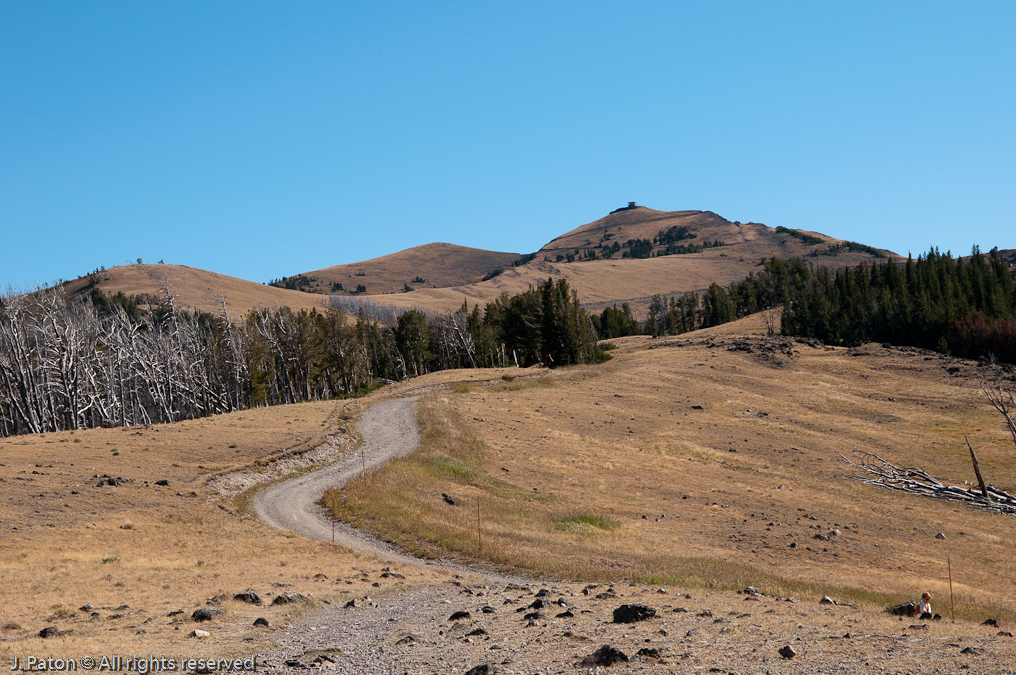 A Closer View of the Tower with the Service Road That Doubles as the Trail   Mount Washburn, Yellowstone National Park, Wyoming