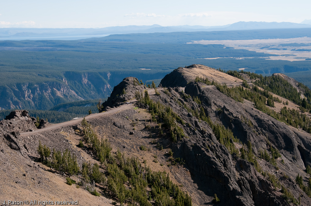 Dunraven Pass   Mount Washburn, Yellowstone National Park, Wyoming