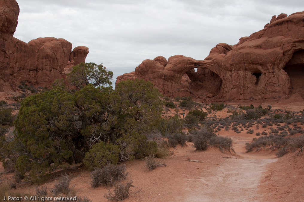 Double Arch   Arches National Park, Utah