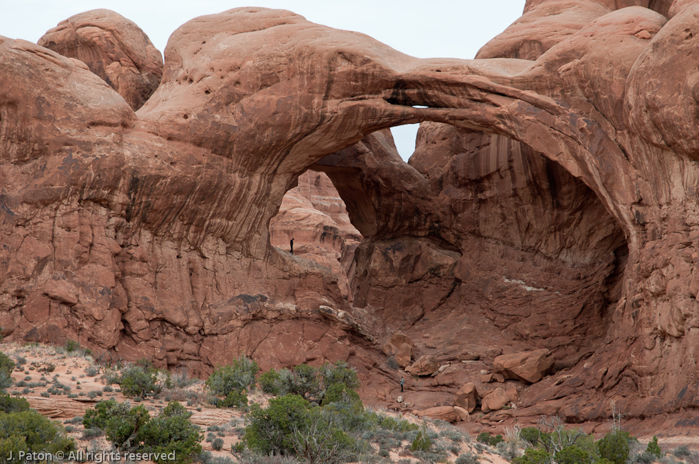Double Arch   Arches National Park, Utah