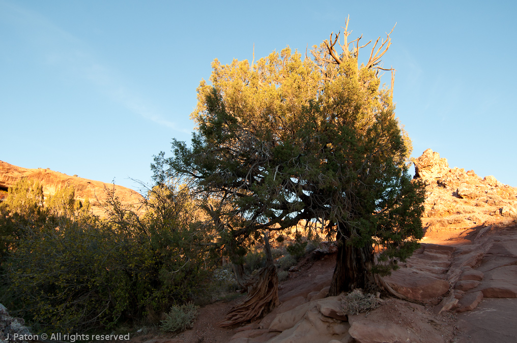 Sunset Color   Arches National Park, Utah