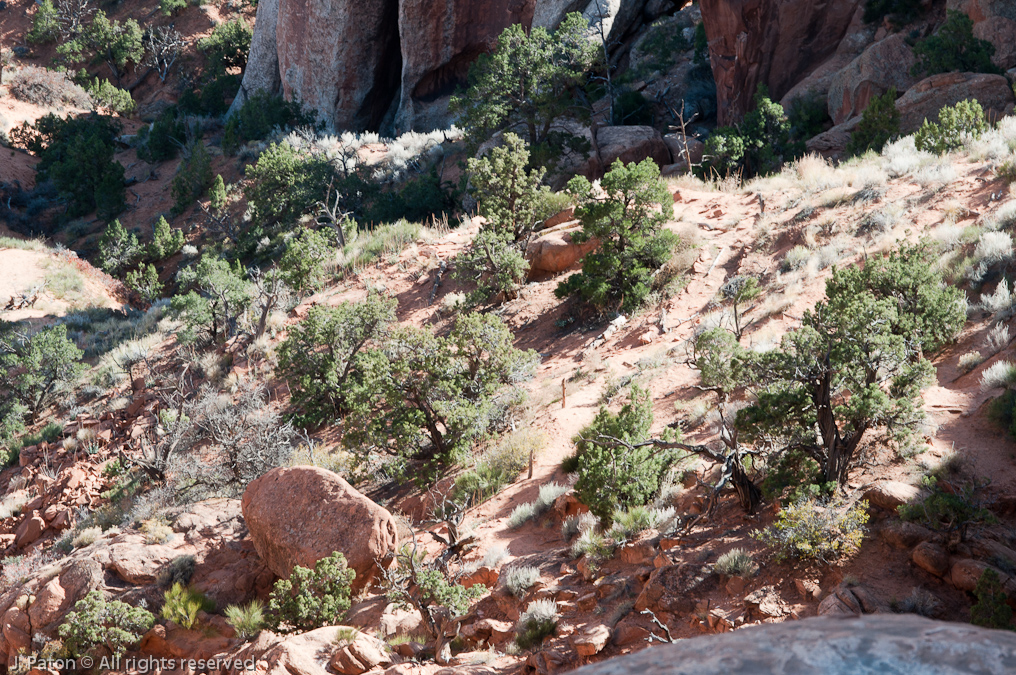 Beneath Landscape Arch   Devils Garden Trail, Arches National Park, Utah