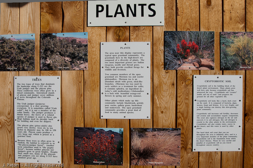 Viewpoint on the way to Canyonlands National Park   