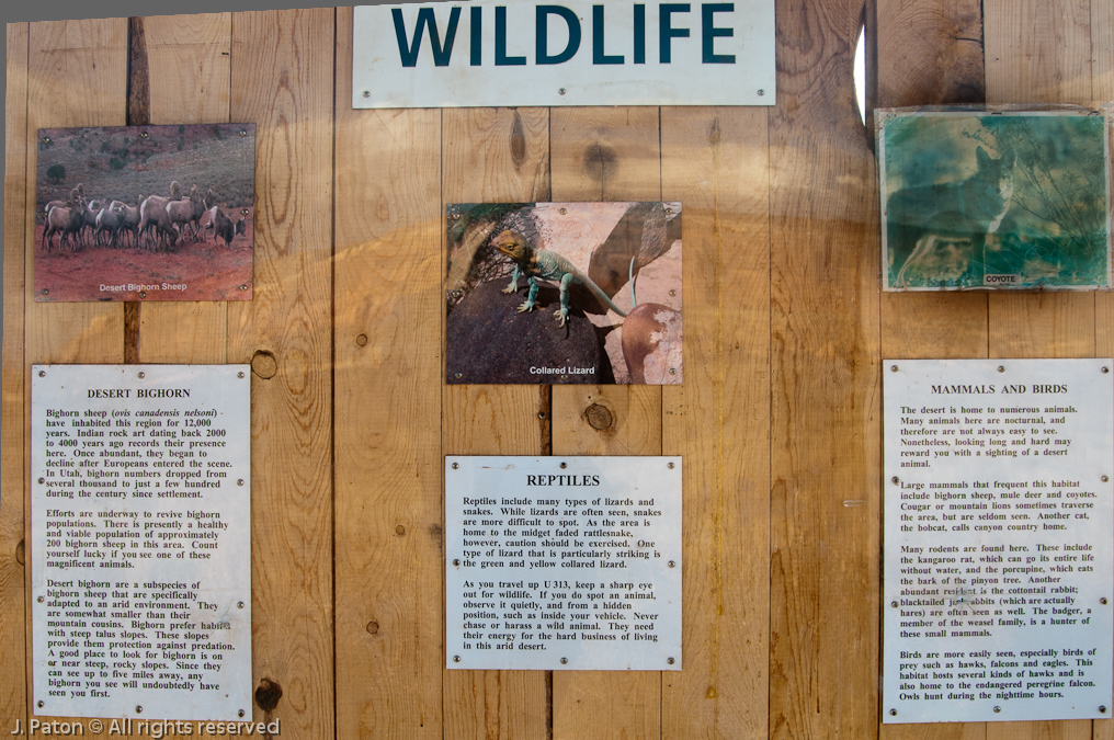 Viewpoint on the way to Canyonlands National Park   