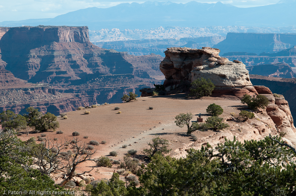 Shafer Canyon View   Canyonlands National Park, Utah