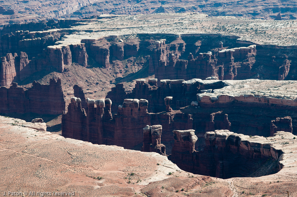 Grand View Point   Canyonlands National Park, Utah