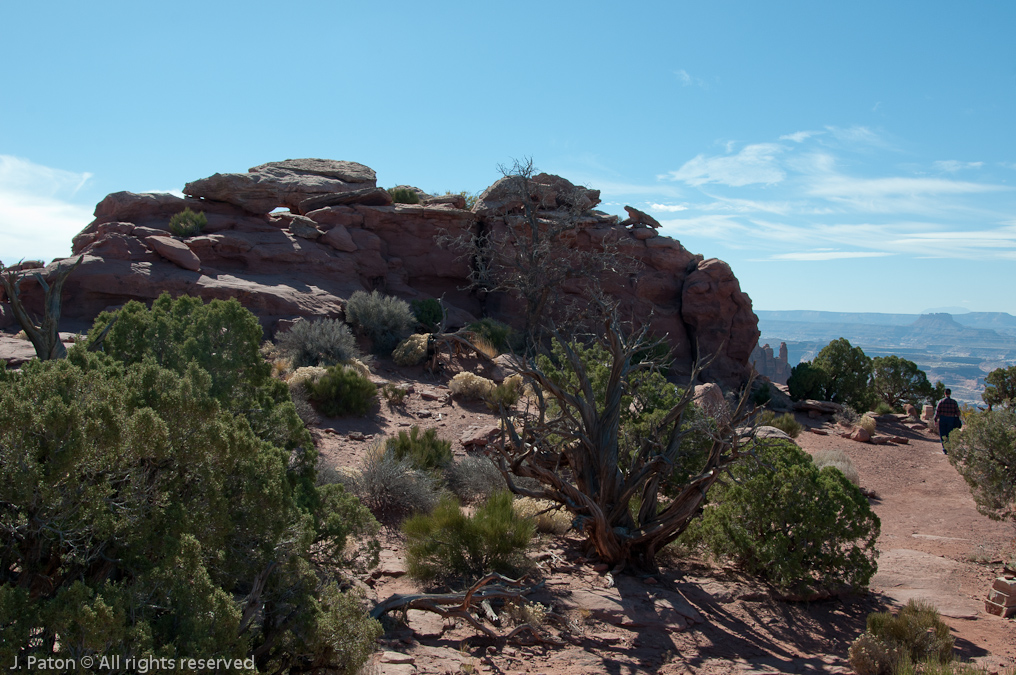 End of Grand View Point Trail   Canyonlands National Park, Utah