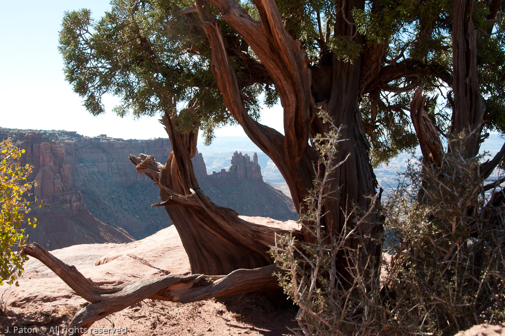    Canyonlands National Park, Utah
