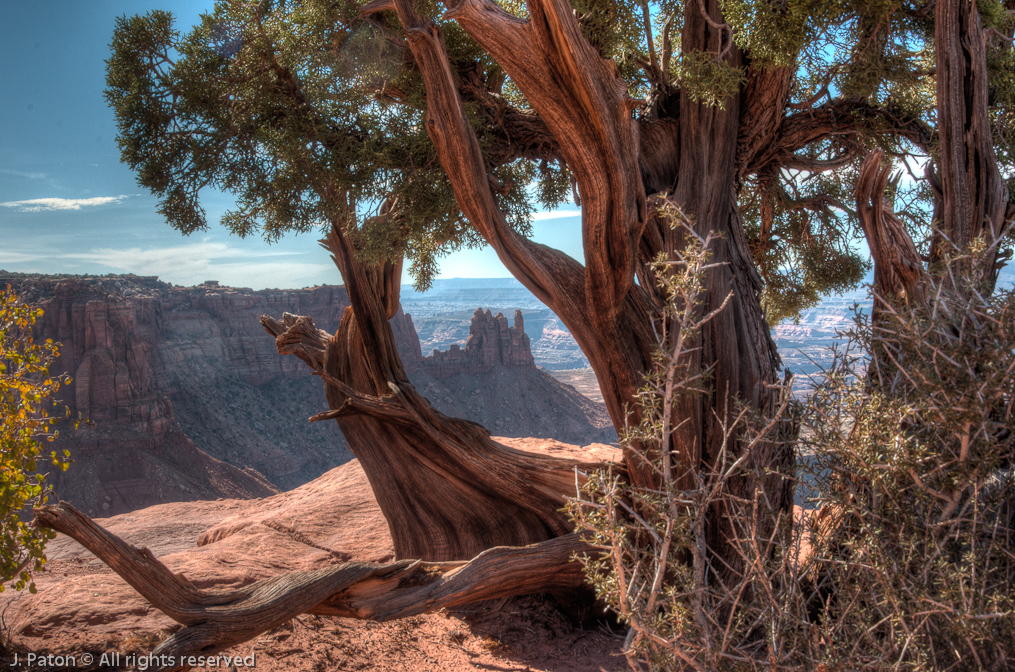    Canyonlands National Park, Utah