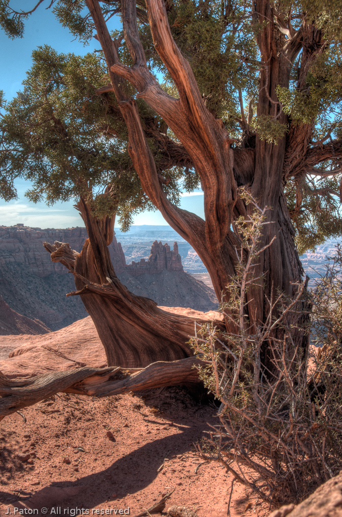    Canyonlands National Park, Utah