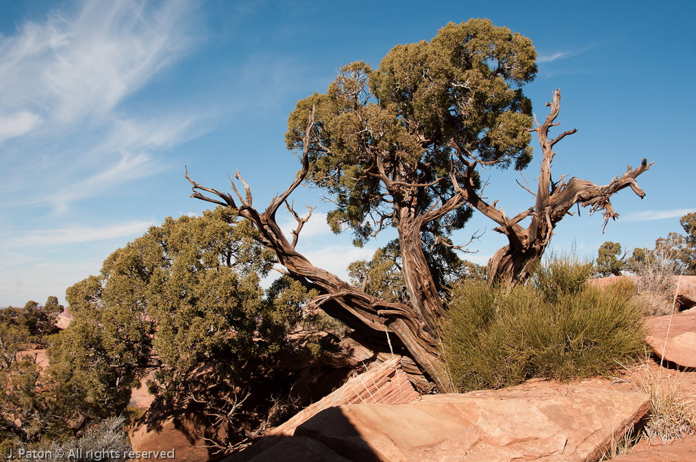    Canyonlands National Park, Utah