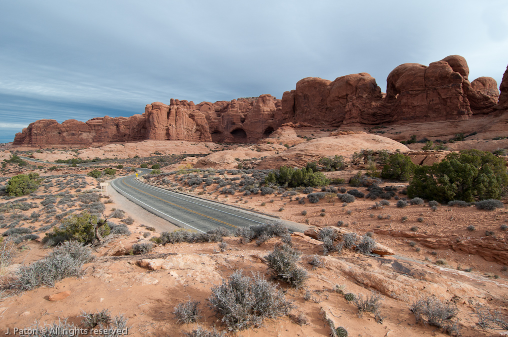 Windows Area   Arches National Park, Utah