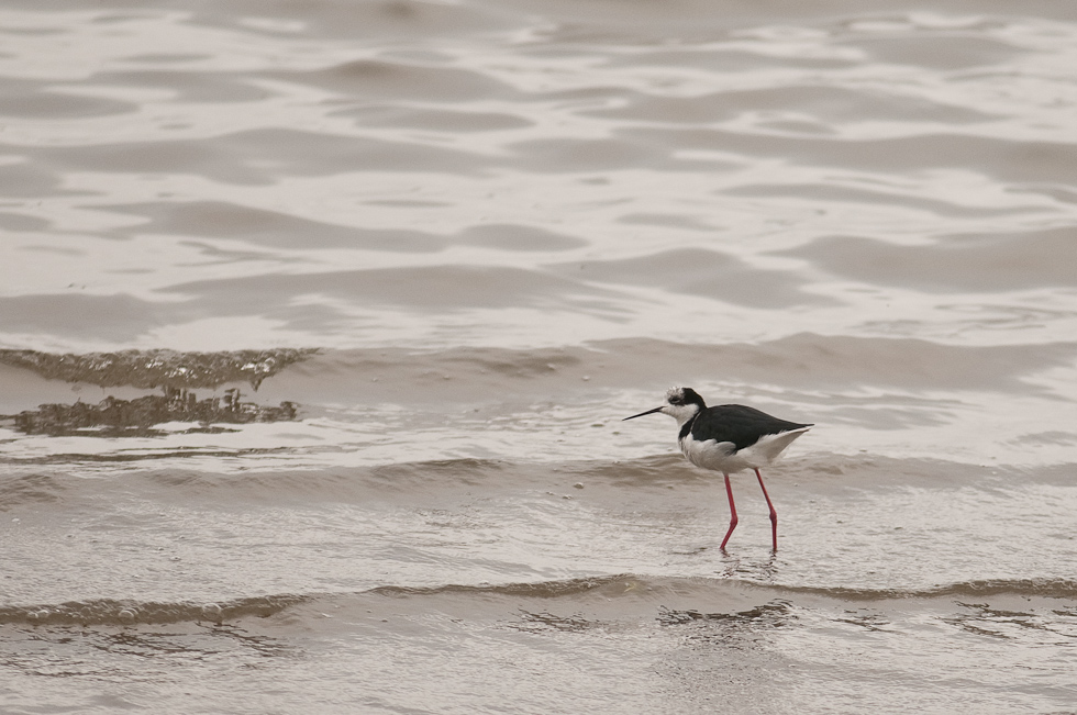    Chiloé Island, Chile