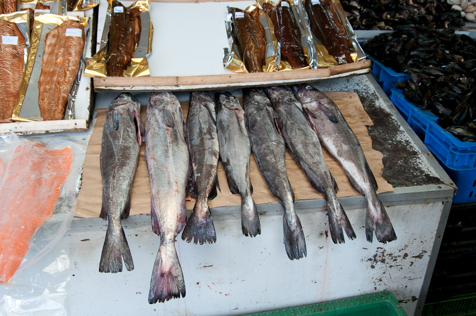 Fish Market   Puerto Montt, Chile