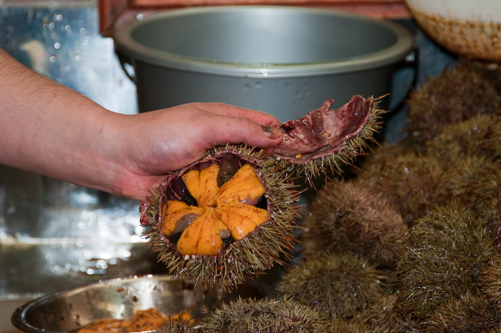 Fish Market   Puerto Montt, Chile