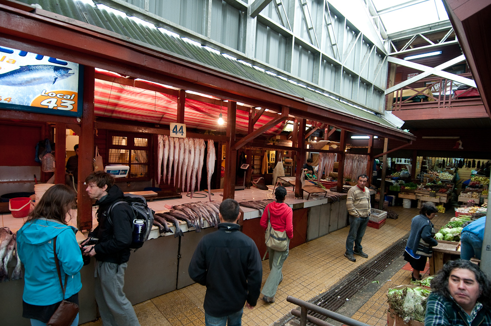 Fish Market   Puerto Montt, Chile