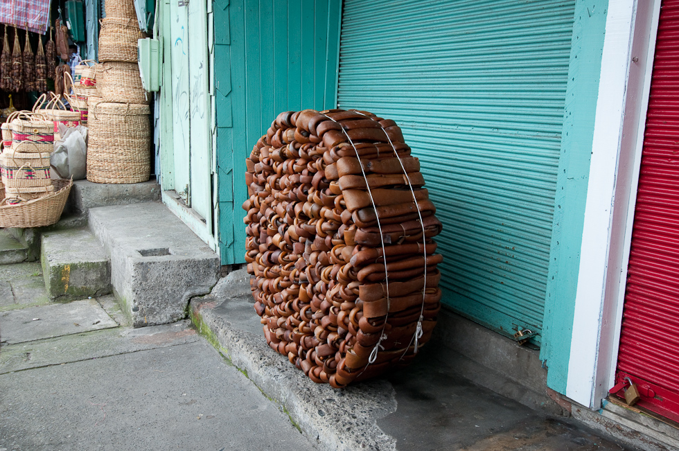 A bundle of bundles of kelp   Puerto Montt, Chile