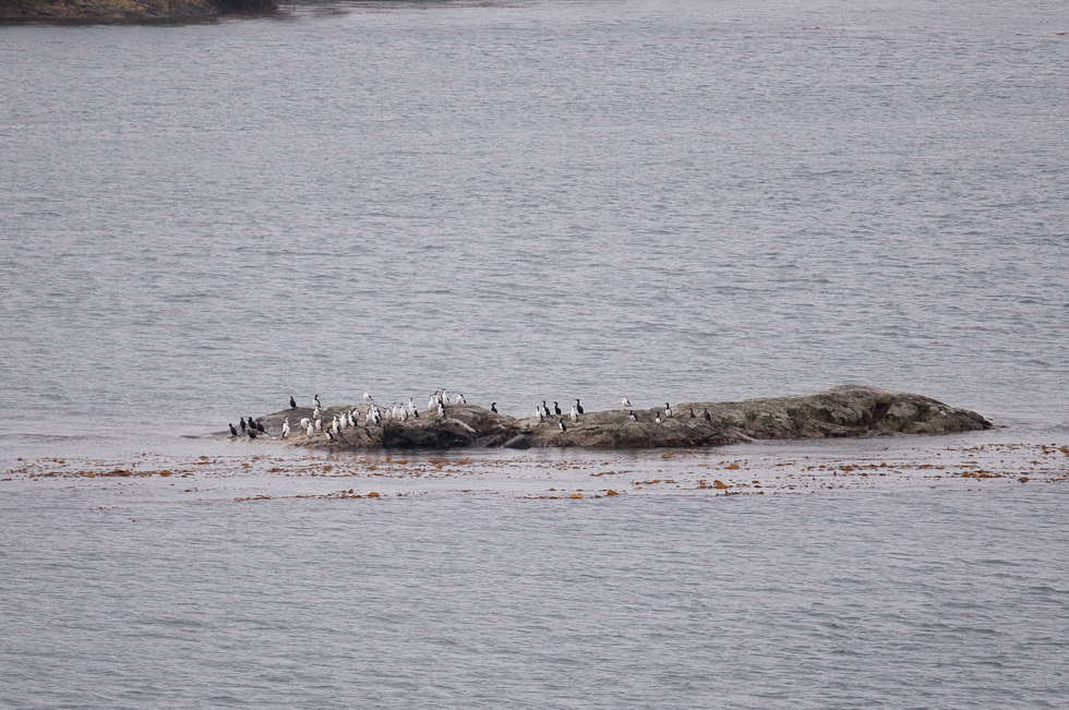 Another Barren Bird Island   Chilean Fjords