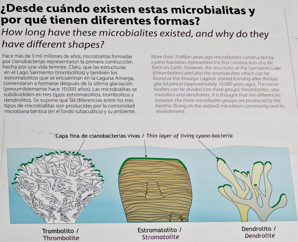 The Towers from Sarmiento Lake   Near Torres del Paine National Park, Chile