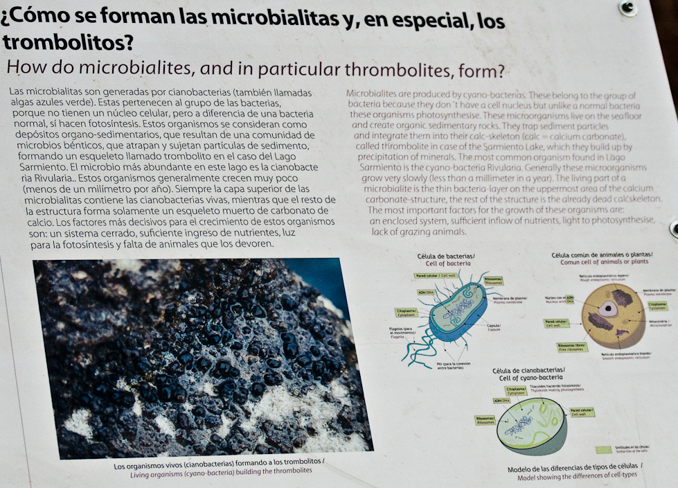 The Towers from Sarmiento Lake   Near Torres del Paine National Park, Chile