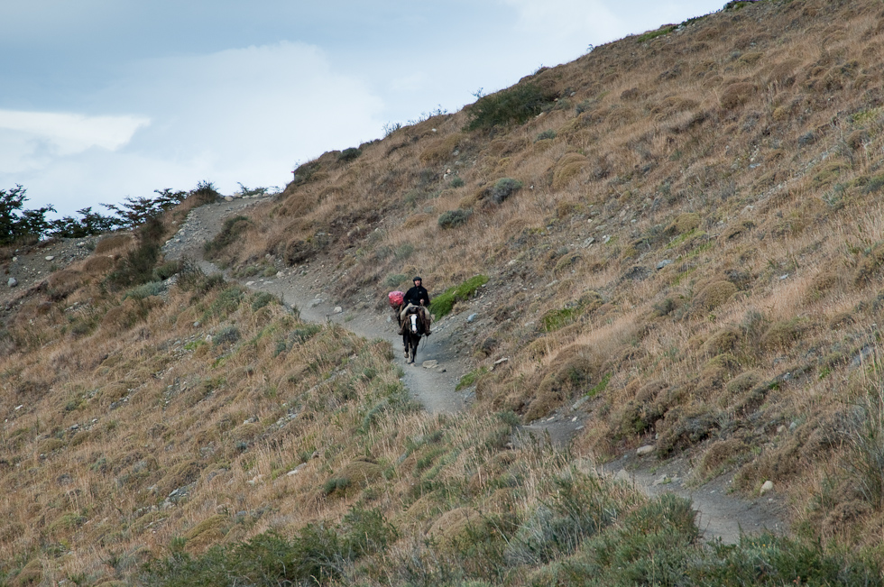    Torres del Paine National Park, Chile