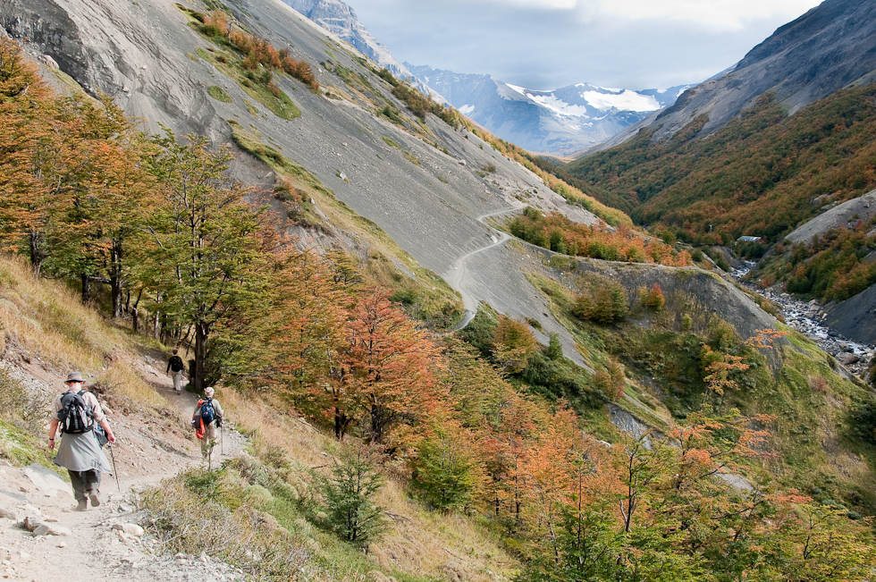 More Fall Colors   Torres del Paine National Park, Chile