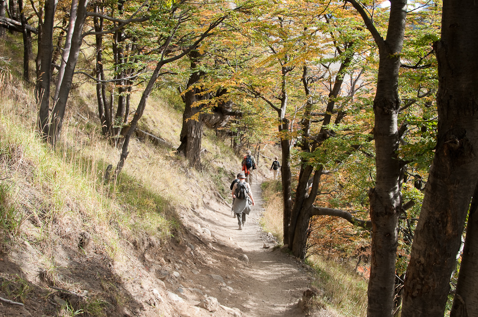    Torres del Paine National Park, Chile